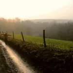 Daire Pine Cottage- 5 Minutes Francorchamps - Charme -piscine-calme-jardin