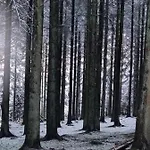 Pine Cottage- 5 Minutes Francorchamps - Charme -piscine-calme-jardin Daire *