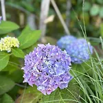 Pine Cottage- 5 Minutes Francorchamps - Charme -piscine-calme-jardin *