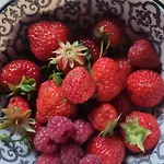 Pine Cottage- 5 Minutes Francorchamps - Charme -piscine-calme-jardin