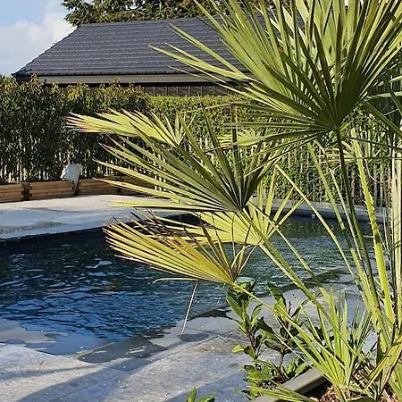 Pine Cottage- 5 Minutes Francorchamps - Charme -piscine-calme-jardin 公寓 Sart (Liege)