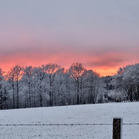 Apartmán Pine Cottage- 5 Minutes Francorchamps - Charme -piscine-calme-jardin *