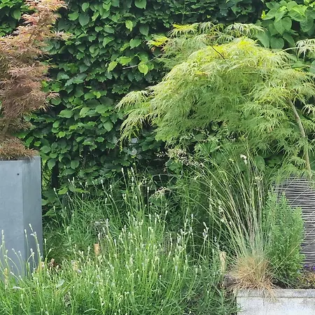 Pine Cottage- 5 Minutes Francorchamps - Charme -piscine-calme-jardin Apartamento Sart (Liege)